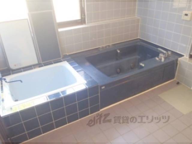 風呂　まさかの浴槽が2つです