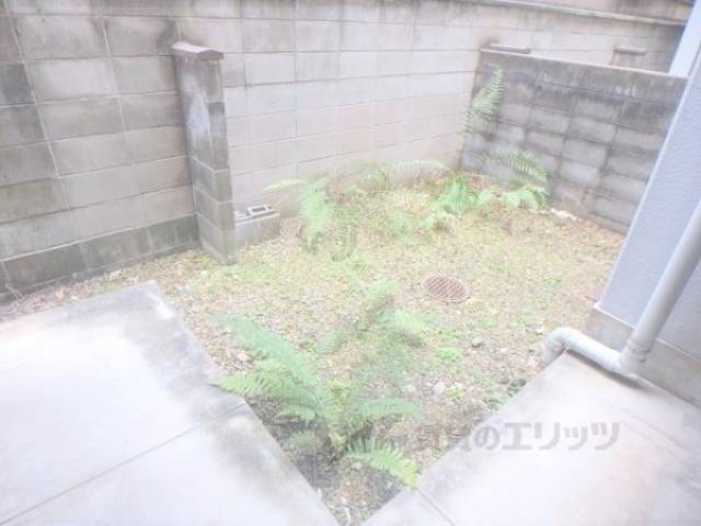 庭