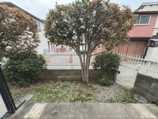 庭