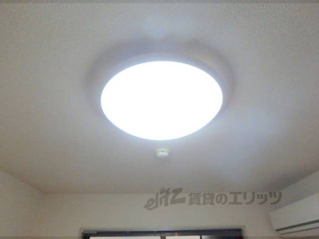 照明