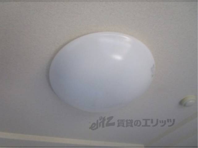 照明