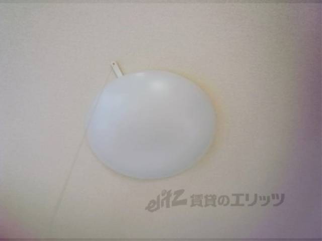 照明
