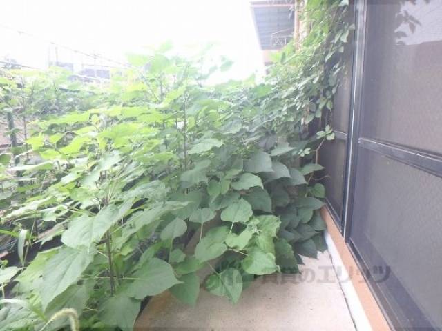 ベランダ