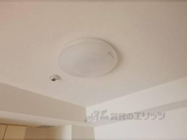 照明
