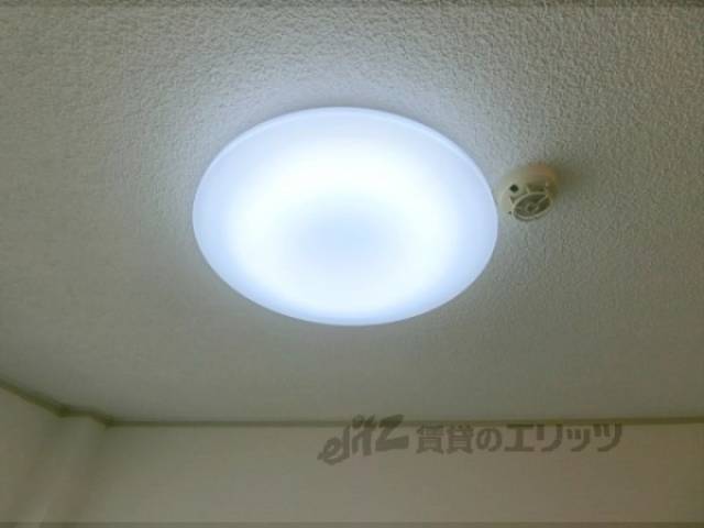 照明