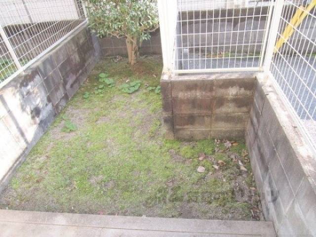 庭