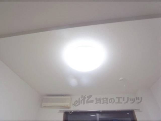 証明
