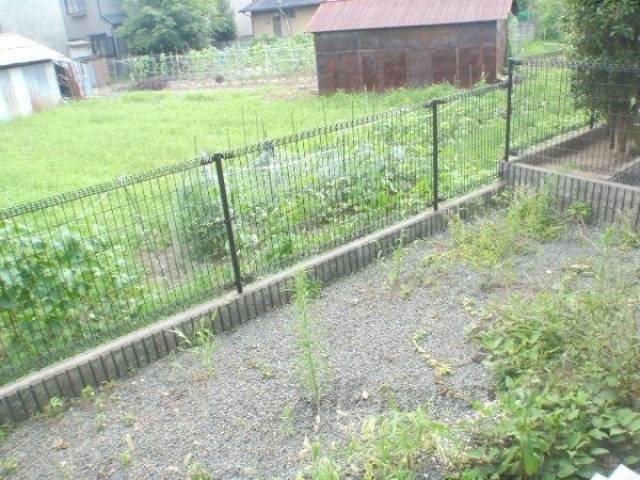 庭