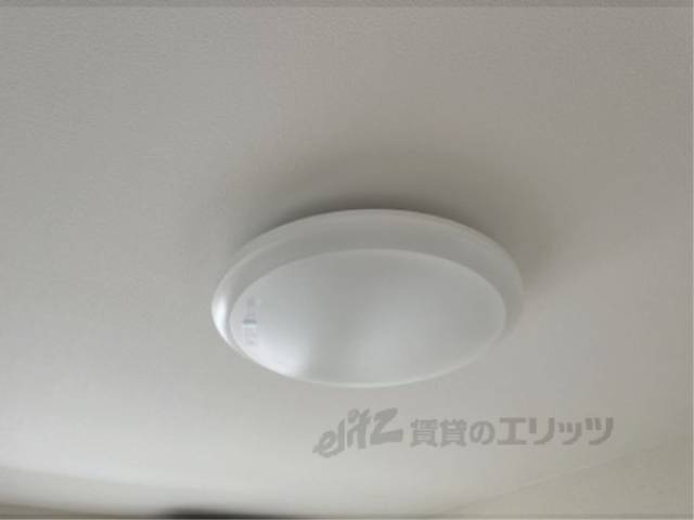照明