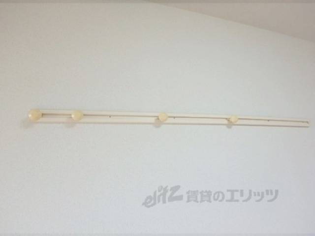 ラック