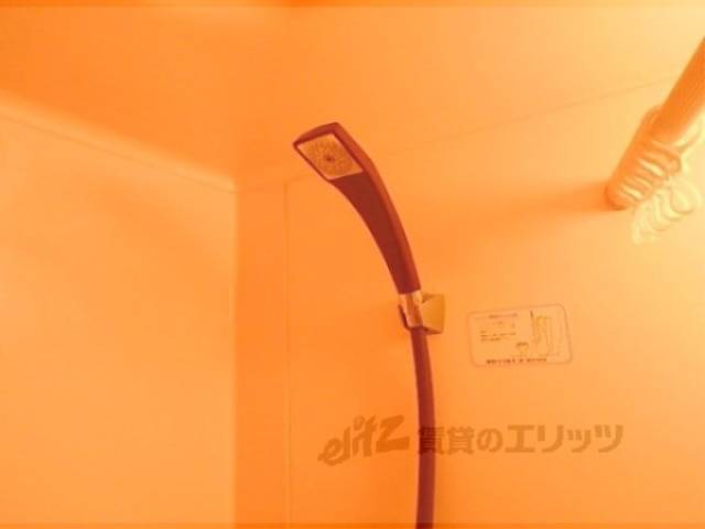 シャワーヘッド