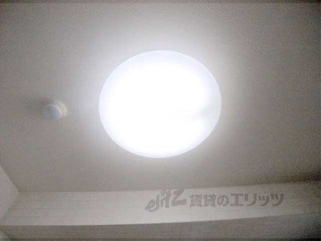 照明