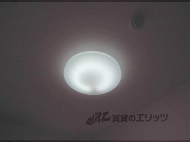 照明