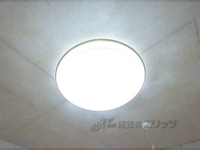 照明