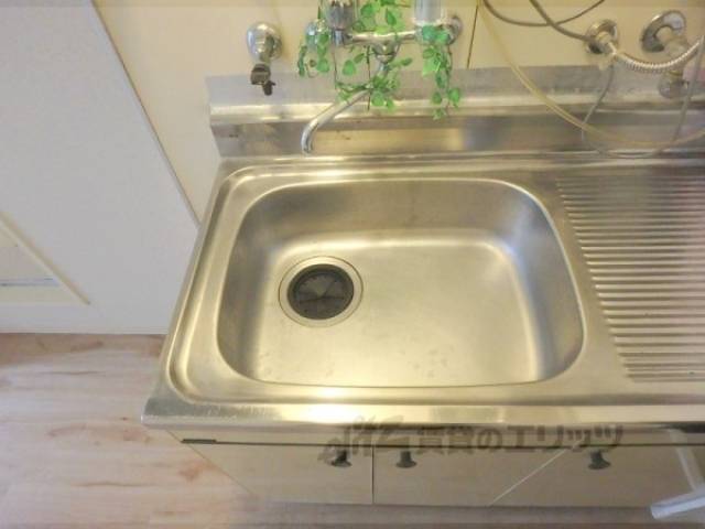 キッチン　シンク