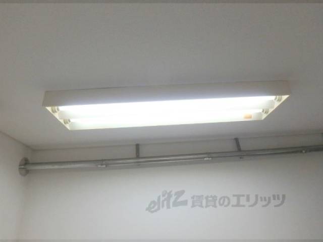 照明