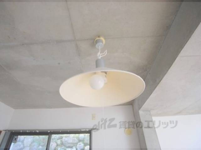 照明
