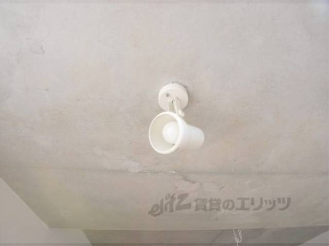 照明