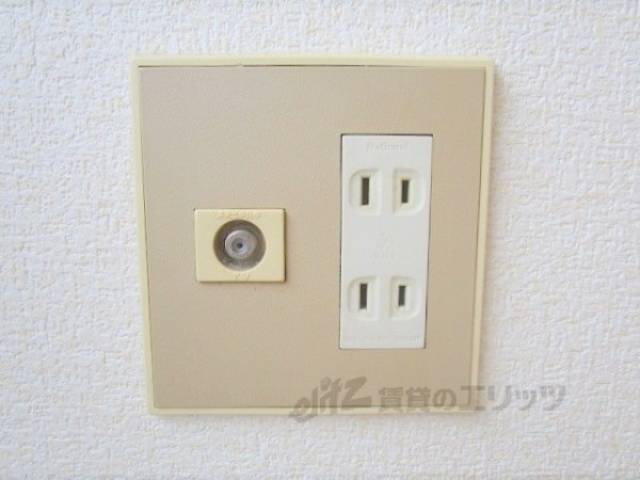 コンセント