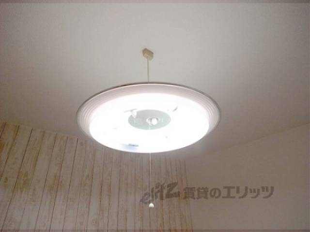 照明