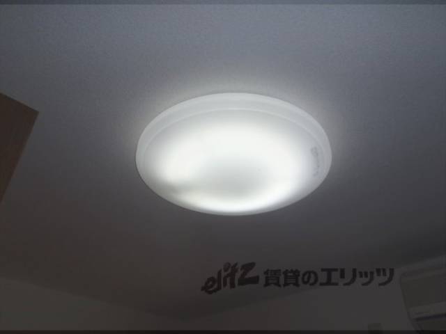 照明