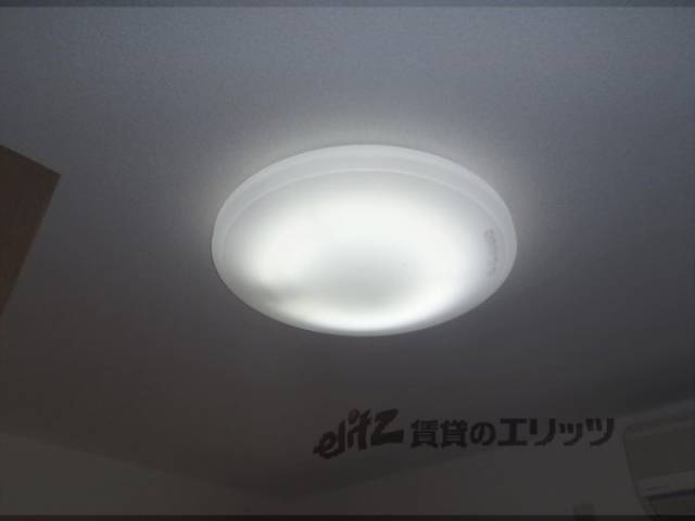 照明