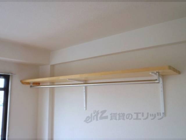 棚