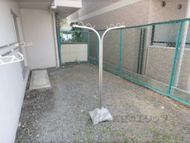 庭
