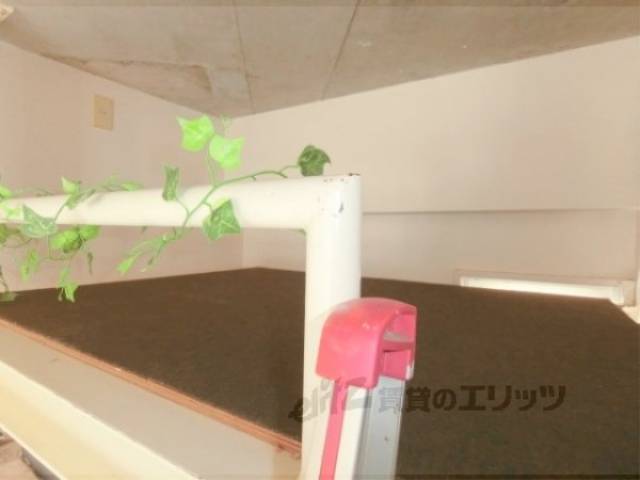 ロフト