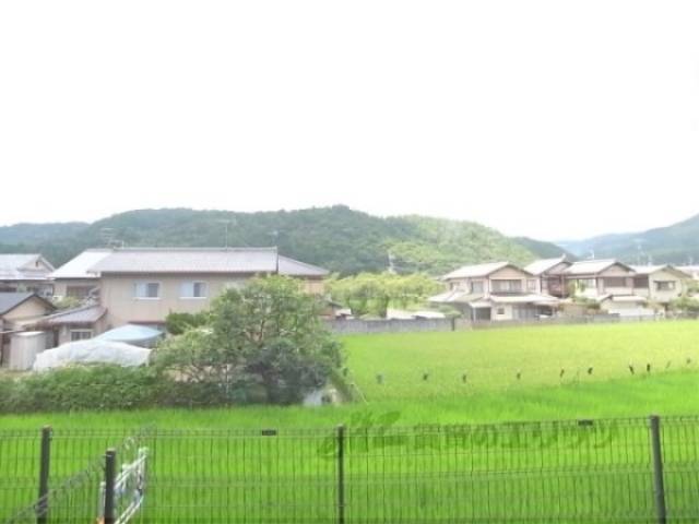 眺望　目の前は田んぼです