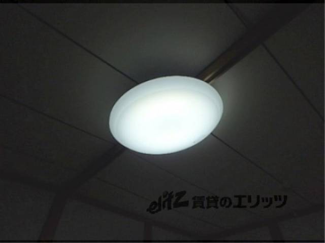 照明