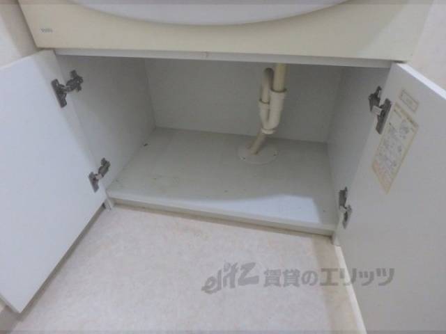 収納 洗面台下
