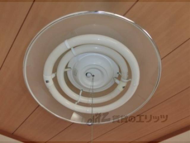 電気