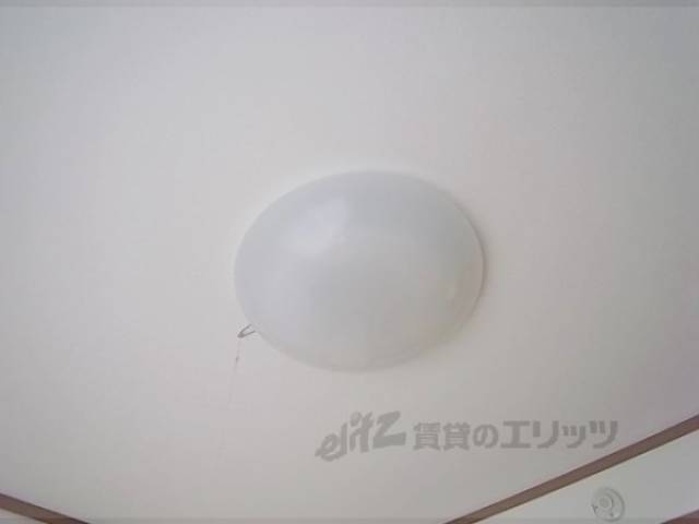 照明
