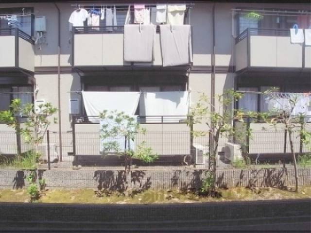 眺望　北側