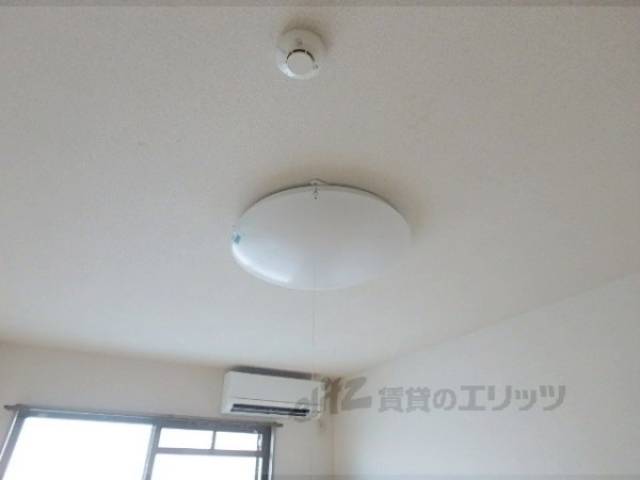 照明
