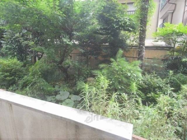ベランダ前