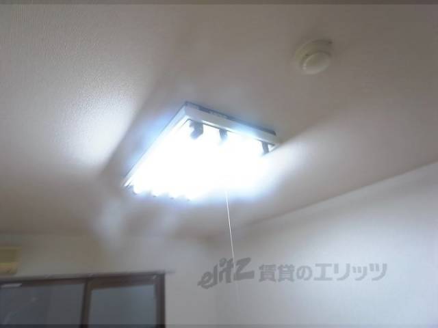 照明