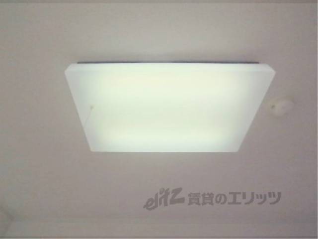 照明