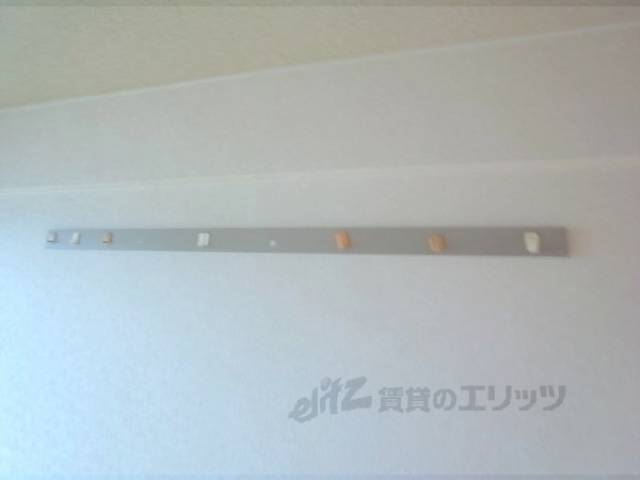 イメージ写真
