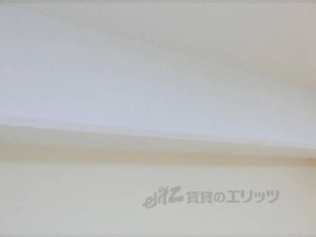 でっぱり