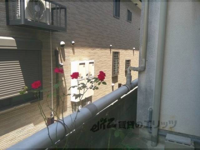 眺望　南側ベランダ