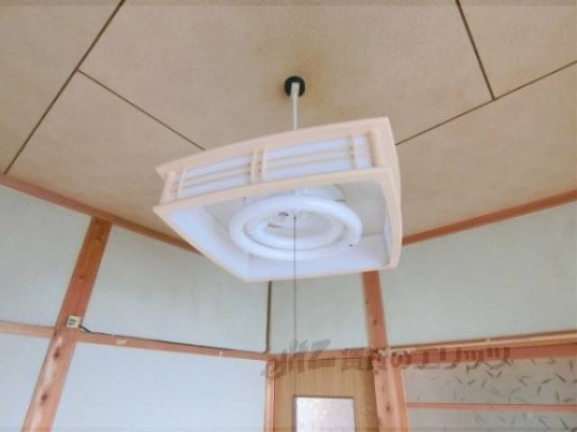照明