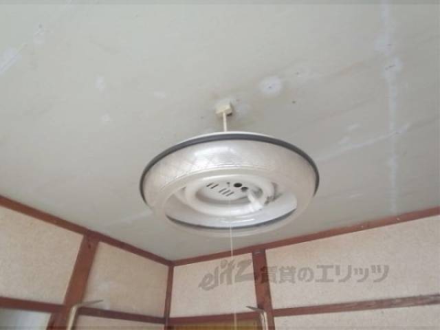 照明