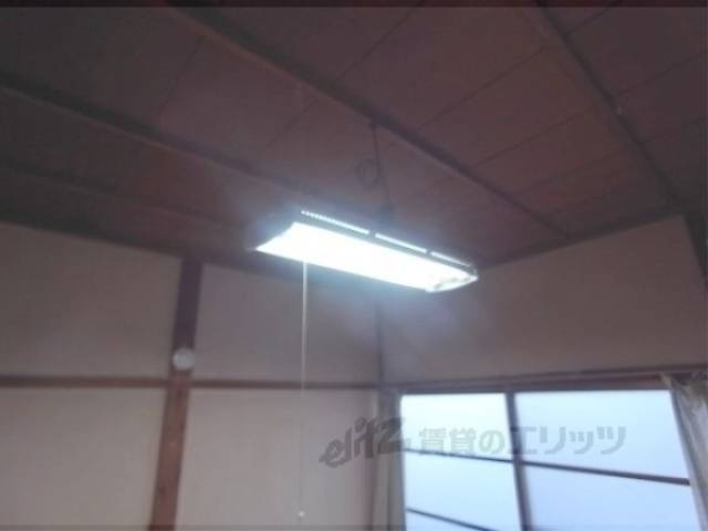 電灯