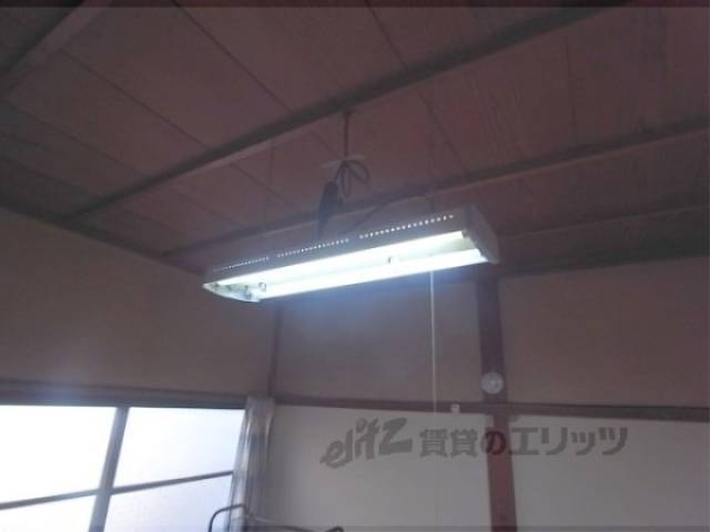 電灯