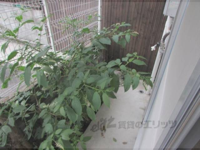 テラス