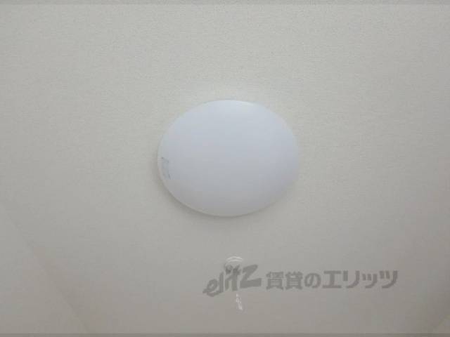 照明