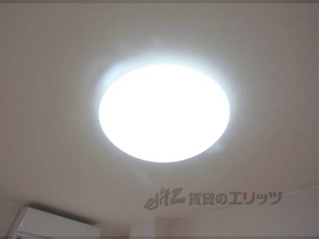 証明