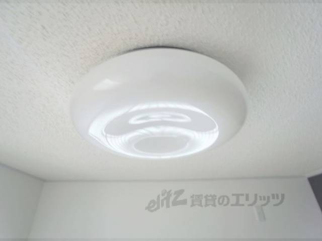 照明